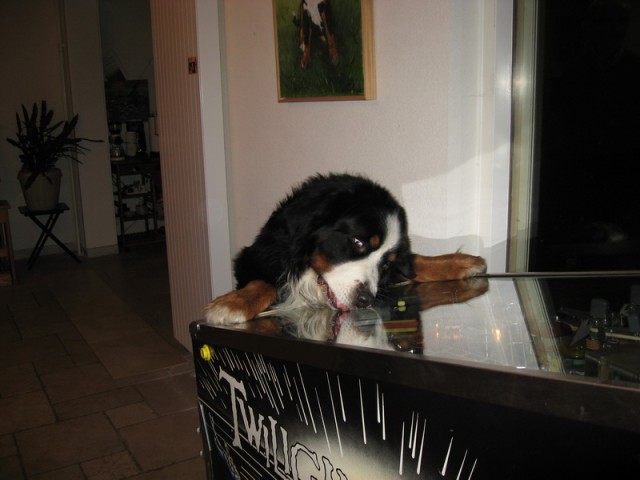 Bruce_inspectTZ.jpg (130.89 KiB) 2476 keer bekeken Bruce de Berner inspecteert de TZ