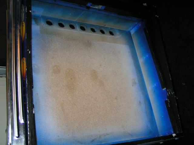 PICT0073.JPG